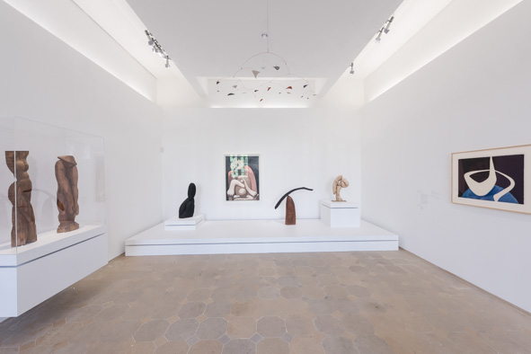 expo calder-picasso niveau 0.4-5-BD